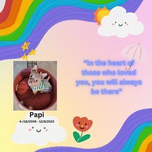 In Memory of My Beloved Papi